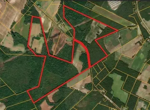 222 Acres Investment Opportunity