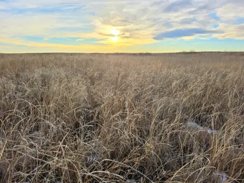 80 Acres CRP Investment Opportunity