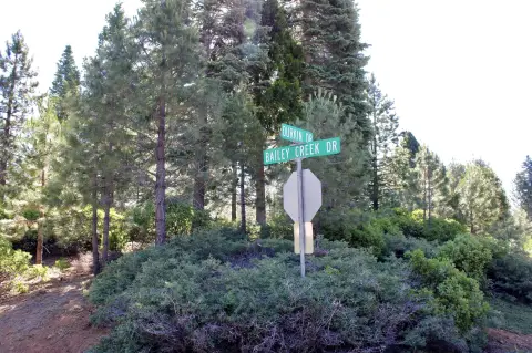 Lake Almanor Corner Lot