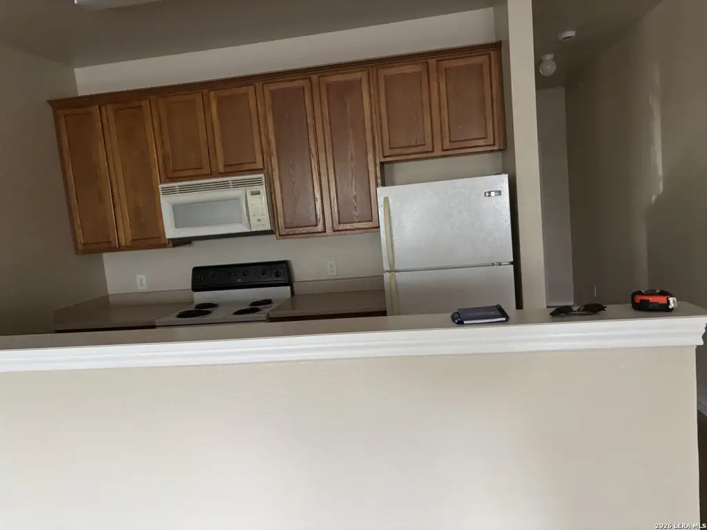 Picture 4