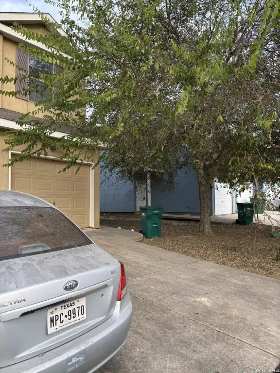 Picture 15