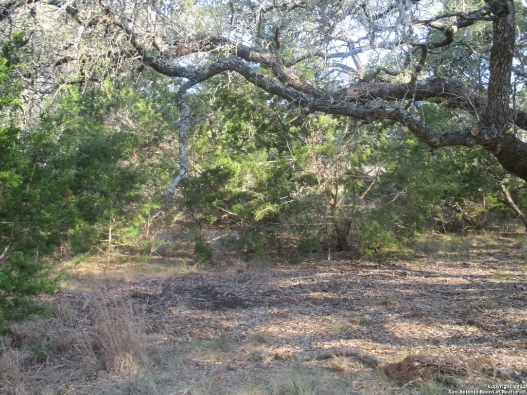 Picture 15