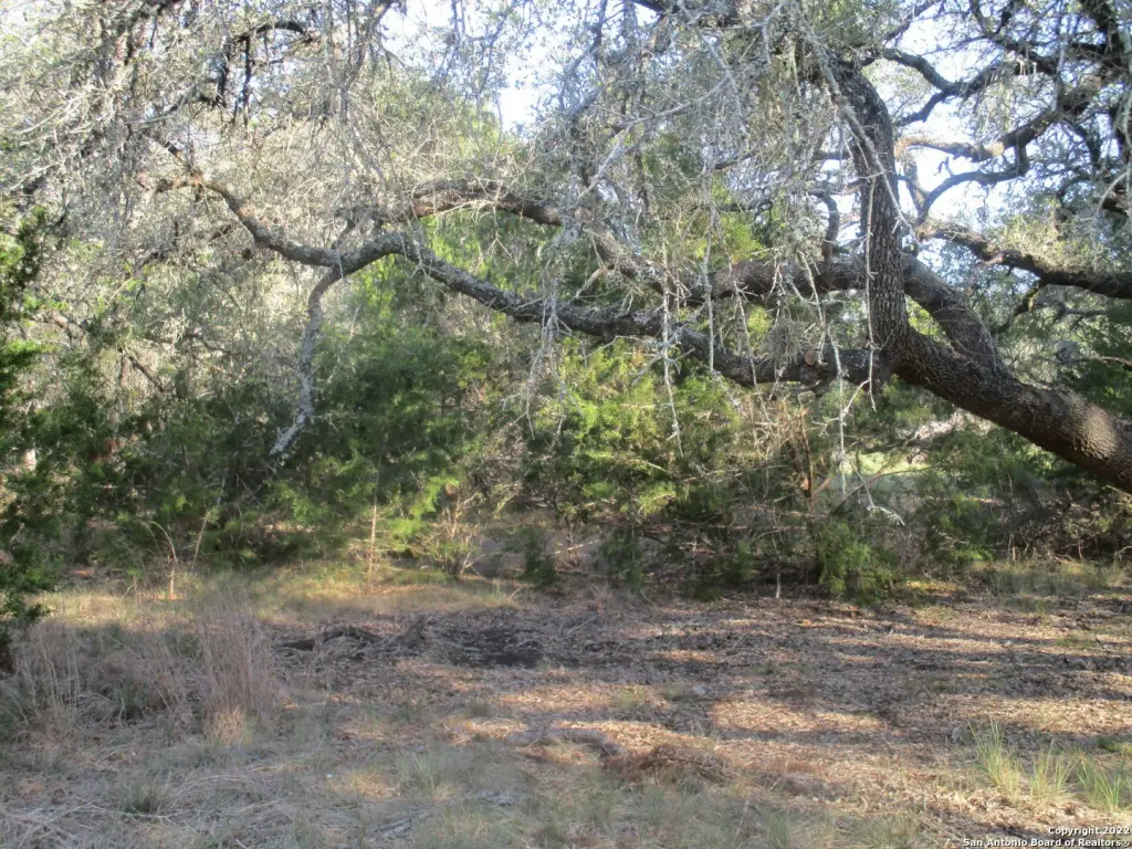 Picture 14