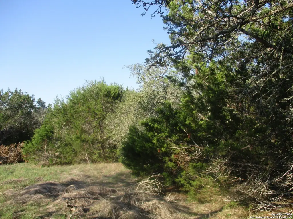 Picture 7