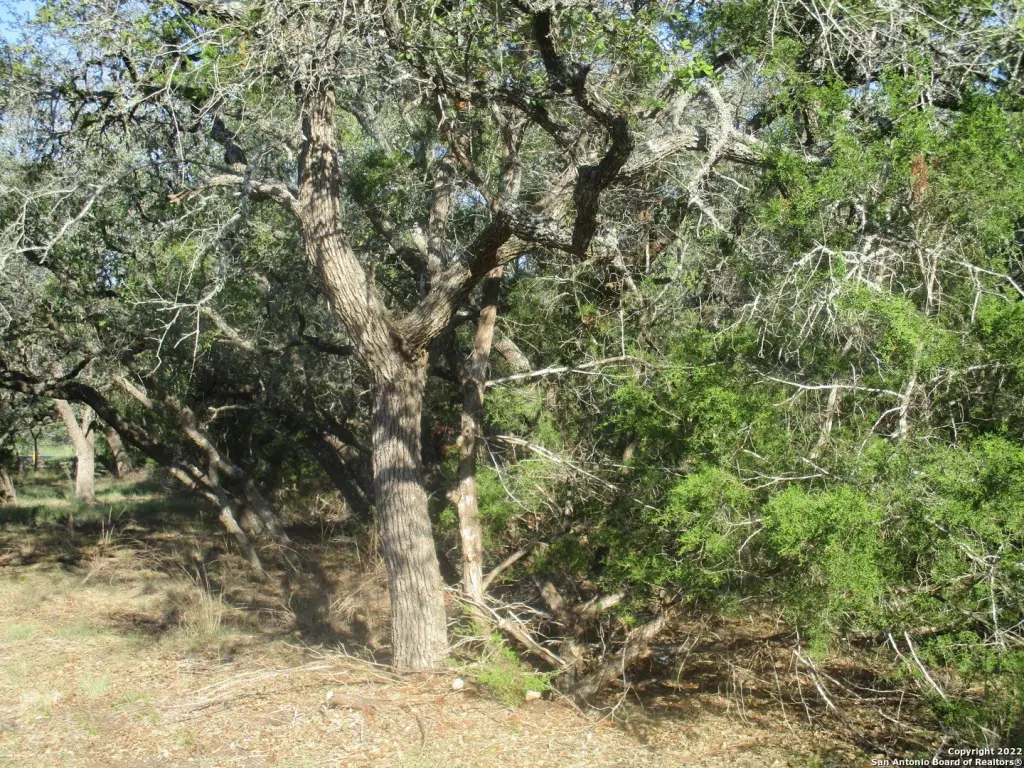 Picture 13