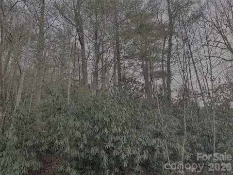 Residential Lot in Hendersonville, NC