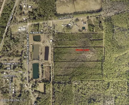 Undeveloped Acreage in Baldwin, Florida