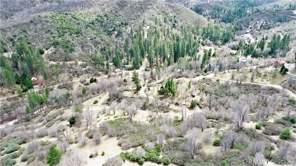 Picture 29