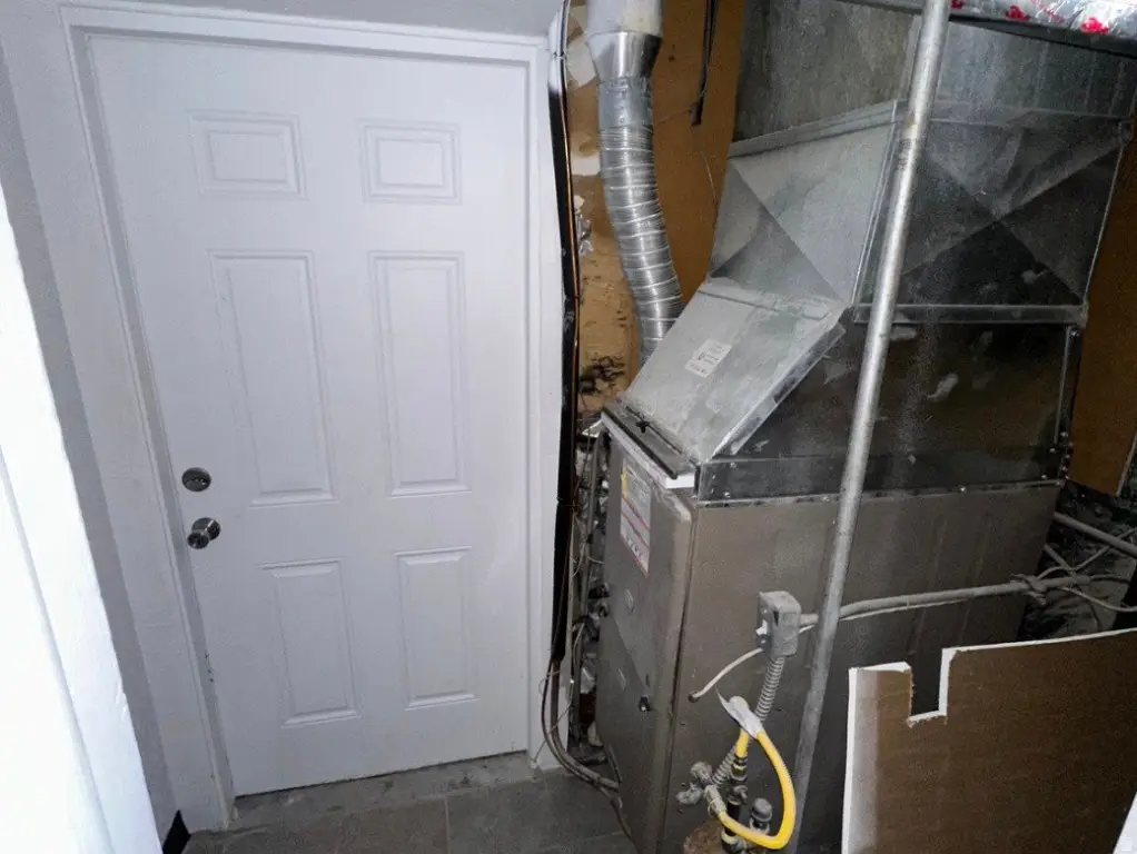 Picture 21
