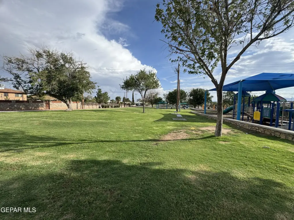 Picture 24