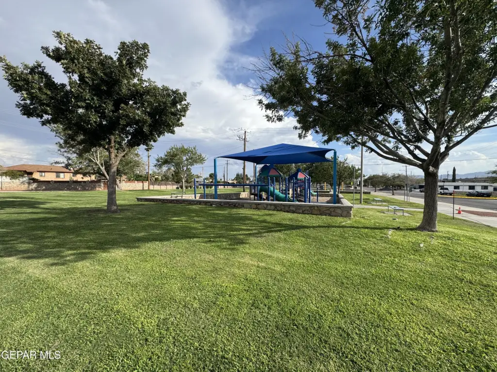 Picture 16