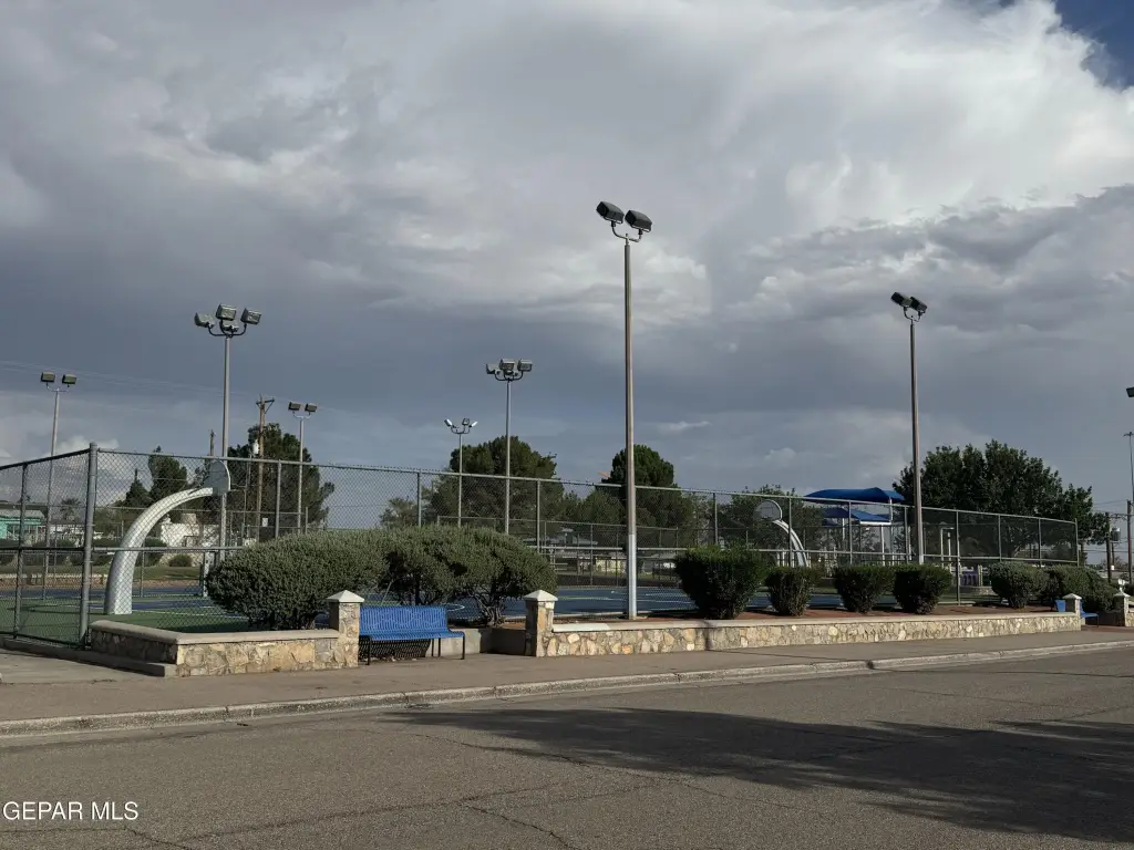 Picture 19