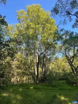 56+ Acre Hardwood Parcel
