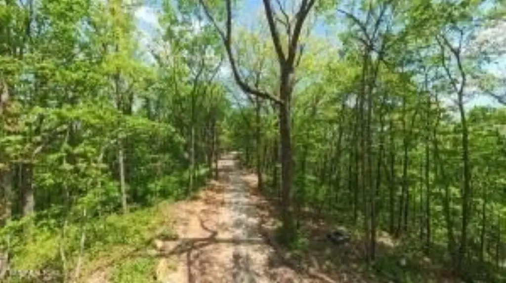 Picture 10