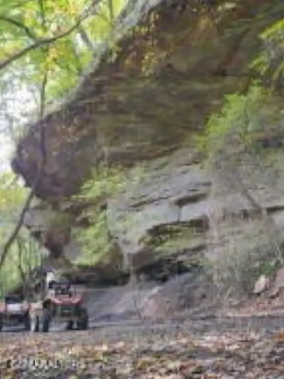 Picture 30