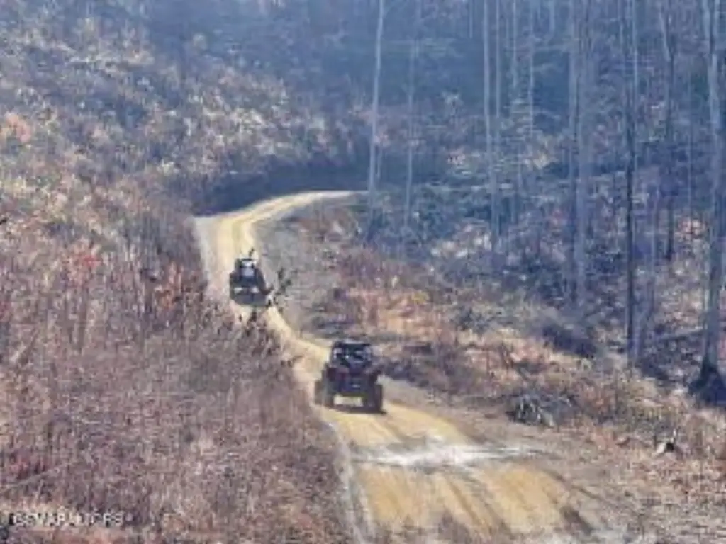 Picture 39