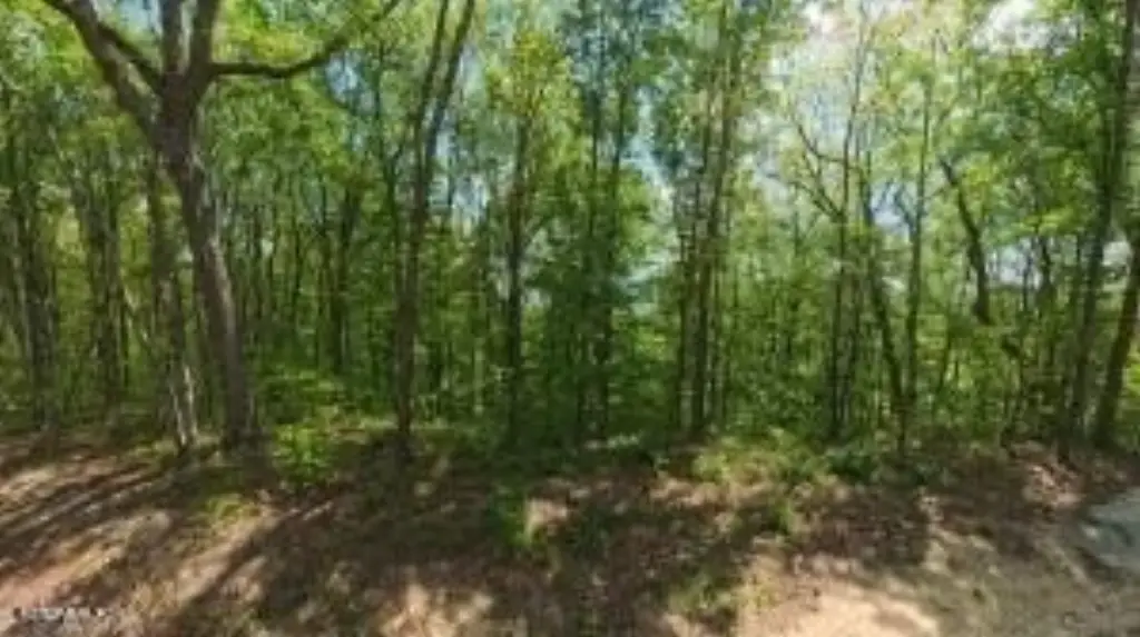 Picture 40