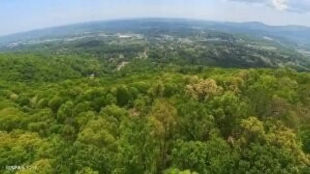 Picture 10