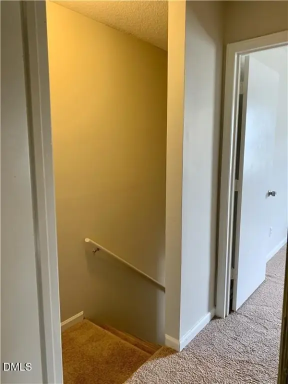 Picture 24