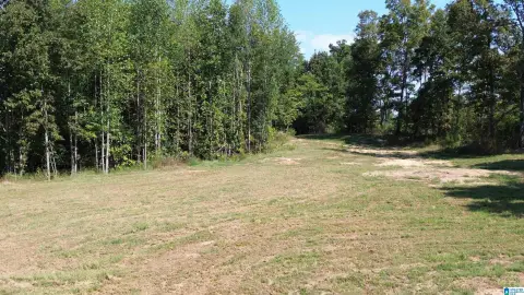 Commercial Land with Open and Wooded Acreage