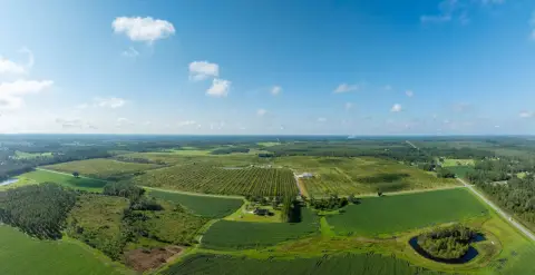 Premium Irrigated Pecan Orchard