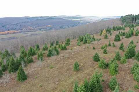 56-Acre Hunting Land in DeRuyter, NY