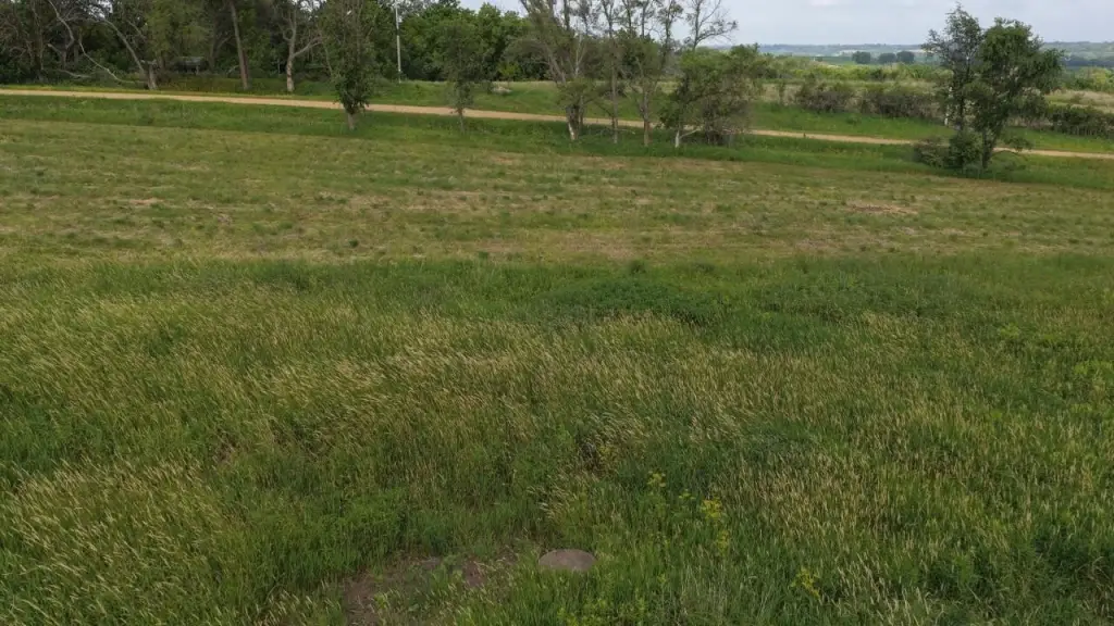 Picture 30