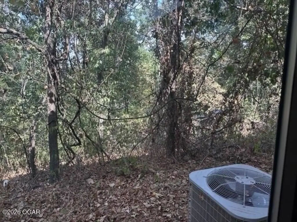 Picture 27