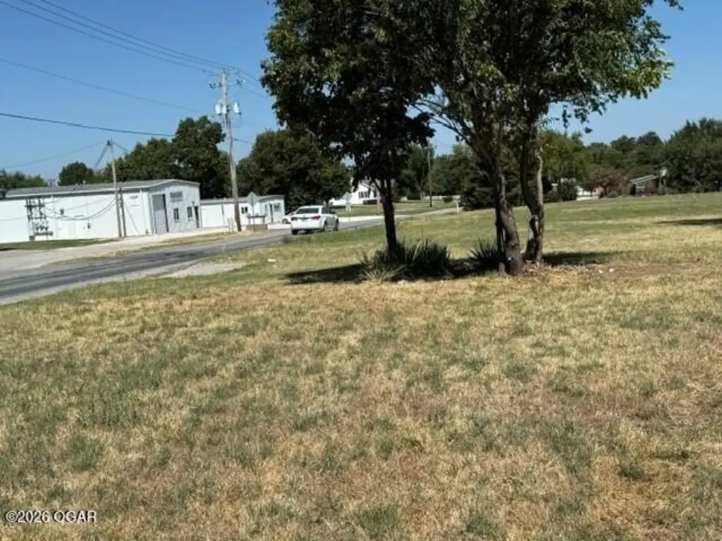 Picture 5