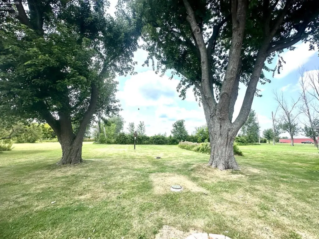 Picture 25