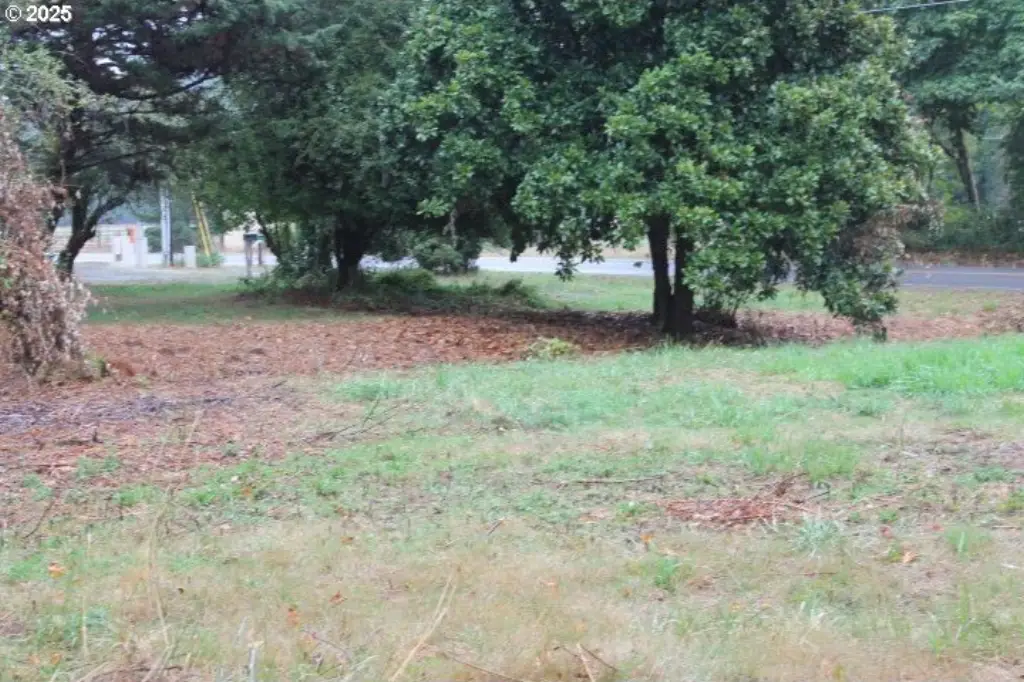 Picture 21
