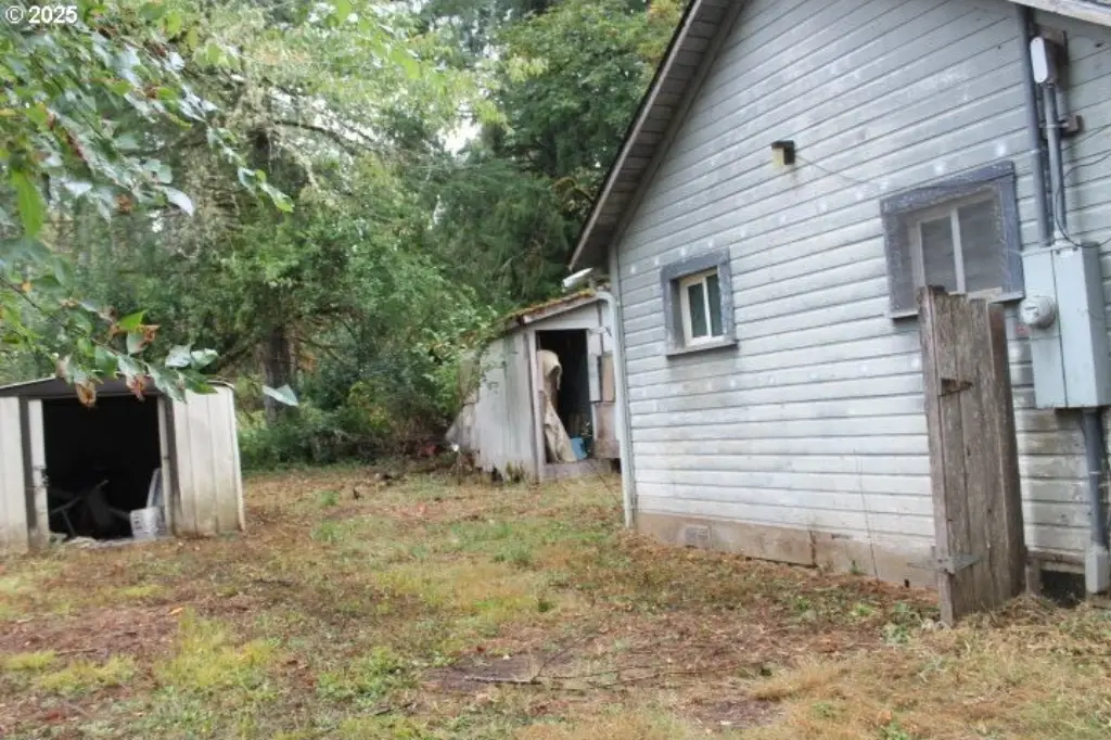 Picture 25