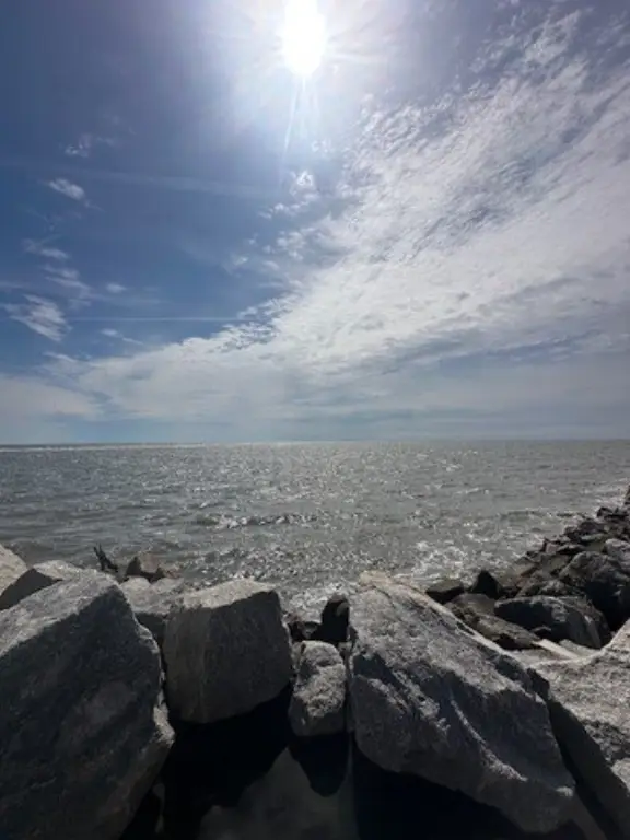 Picture 19