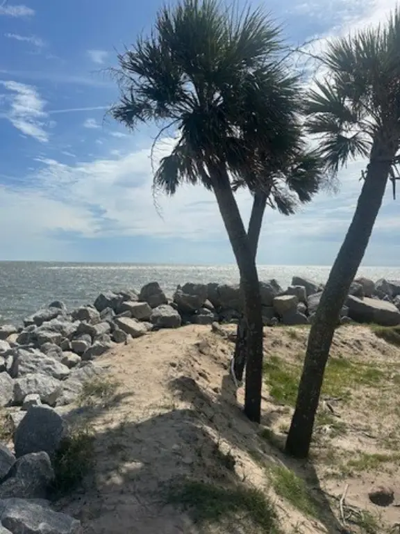 Picture 14
