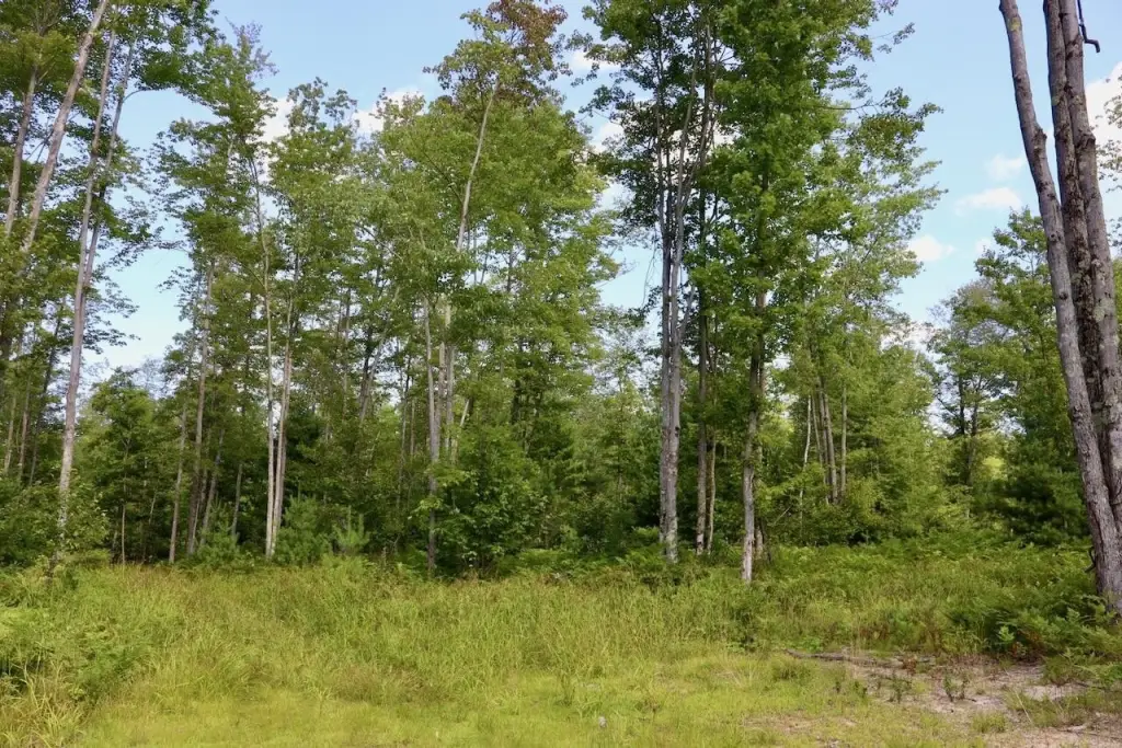 Picture 14