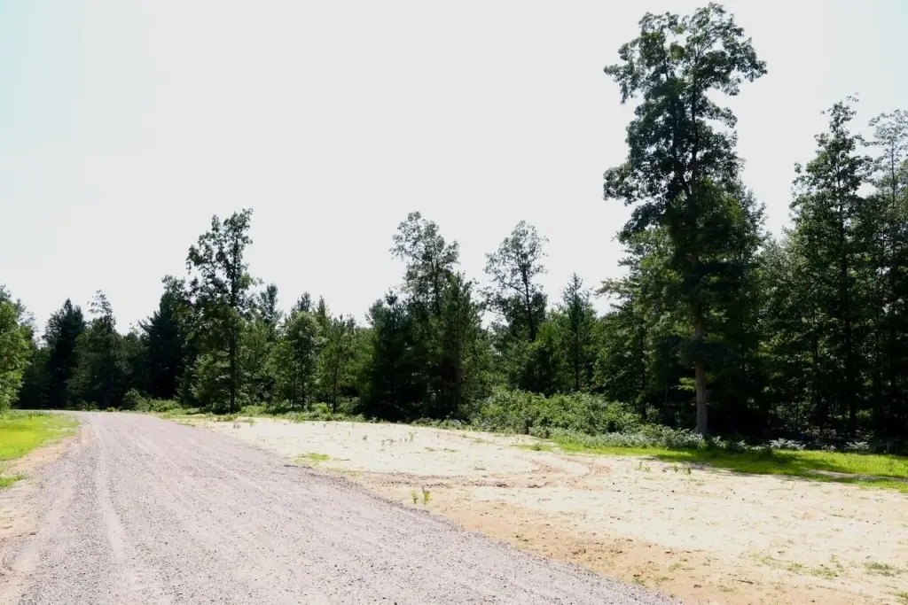 Picture 25