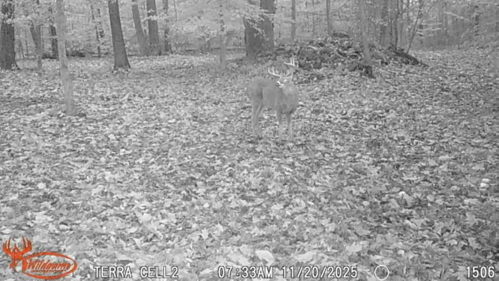 Picture 16