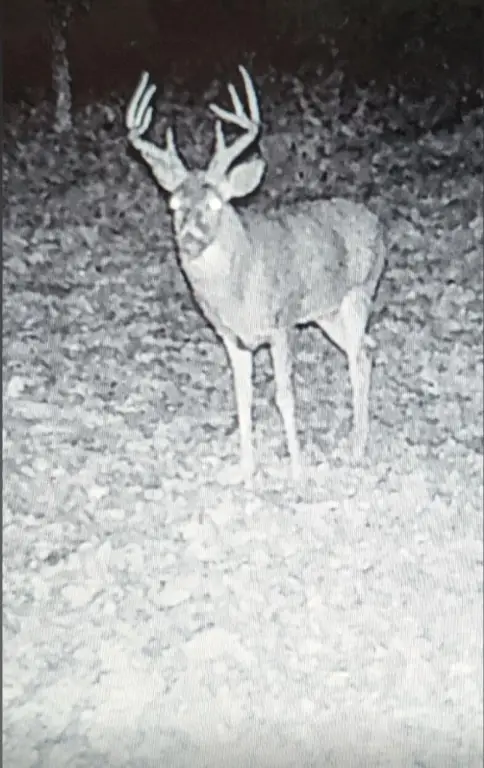 Picture 9