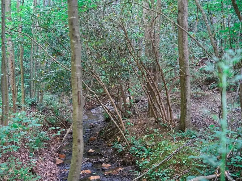 Picture 36