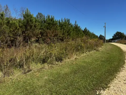 Guin, Alabama Vacant Land