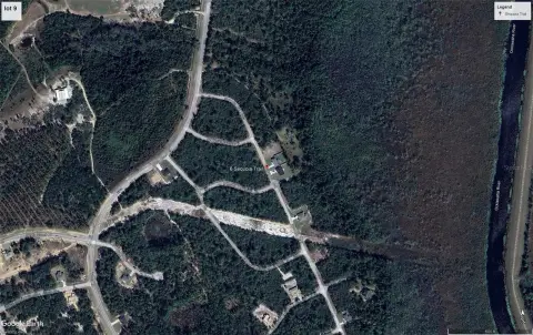 Land Near Ocklawaha River