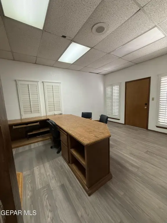Picture 6