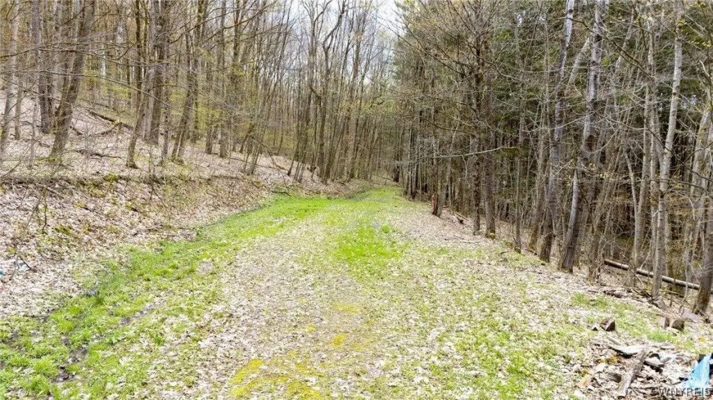 Picture 10