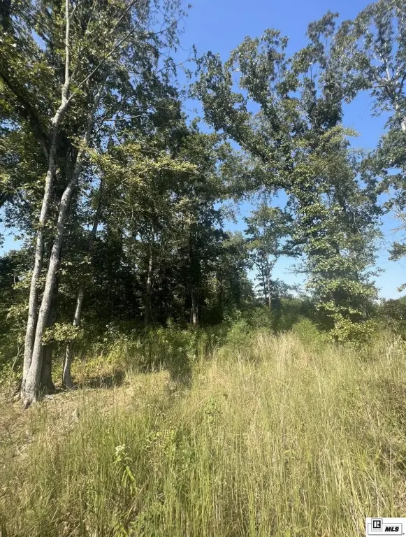 Picture 19