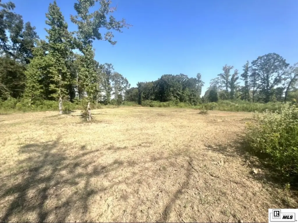 Picture 11