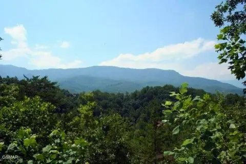 Wooded Mountain View Home Lot