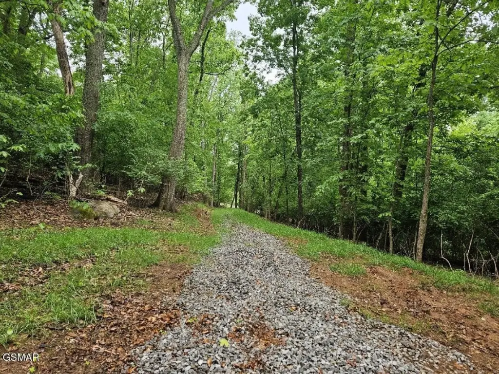 Picture 25