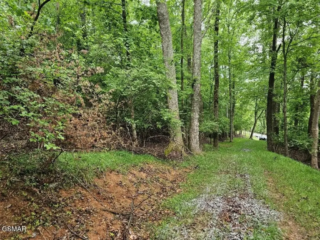 Picture 26