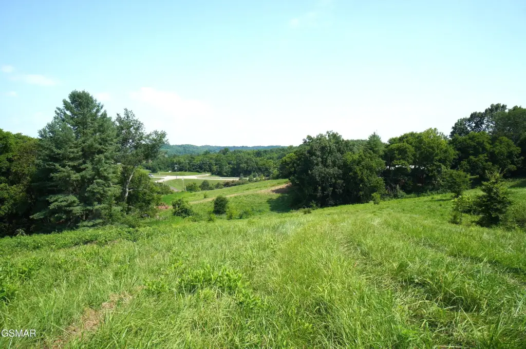 Picture 13