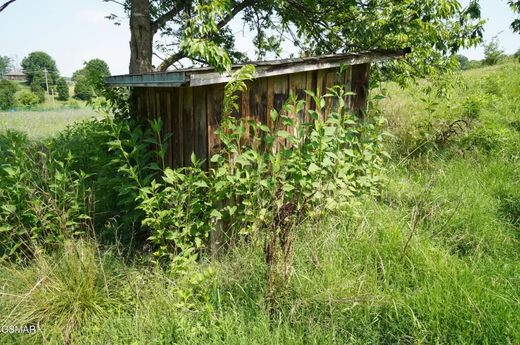 Picture 18